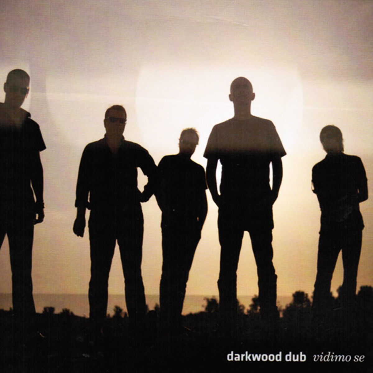Vidimo se cover art