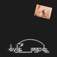 Divlje jagode cover art