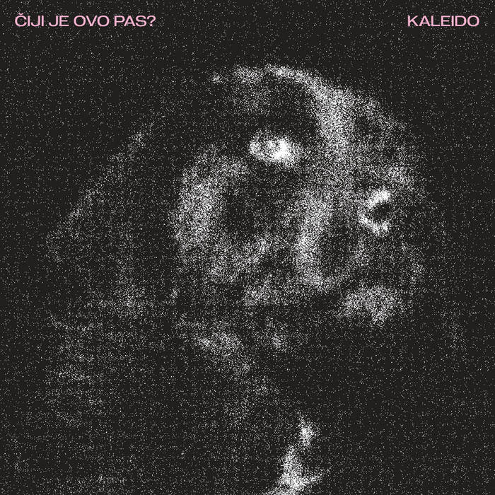 Čiji je ovo pas? cover art