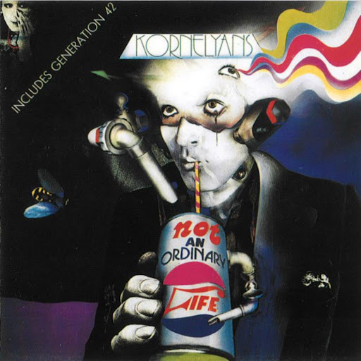 Not an Ordinary Life cover art