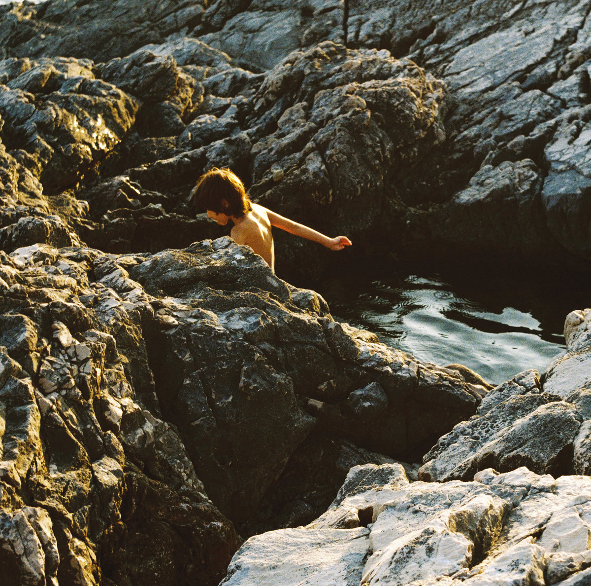 Sargassum aeterna cover art