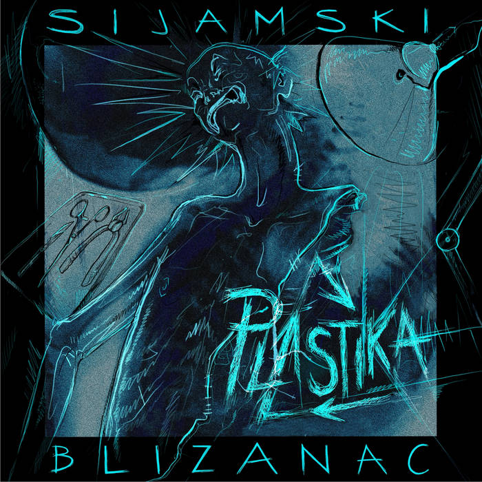 Sijamski blizanac cover art