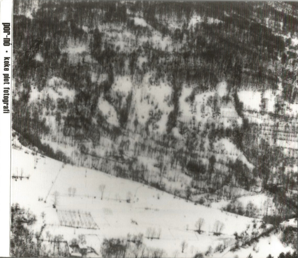 Kokë Plot Fotografi cover art