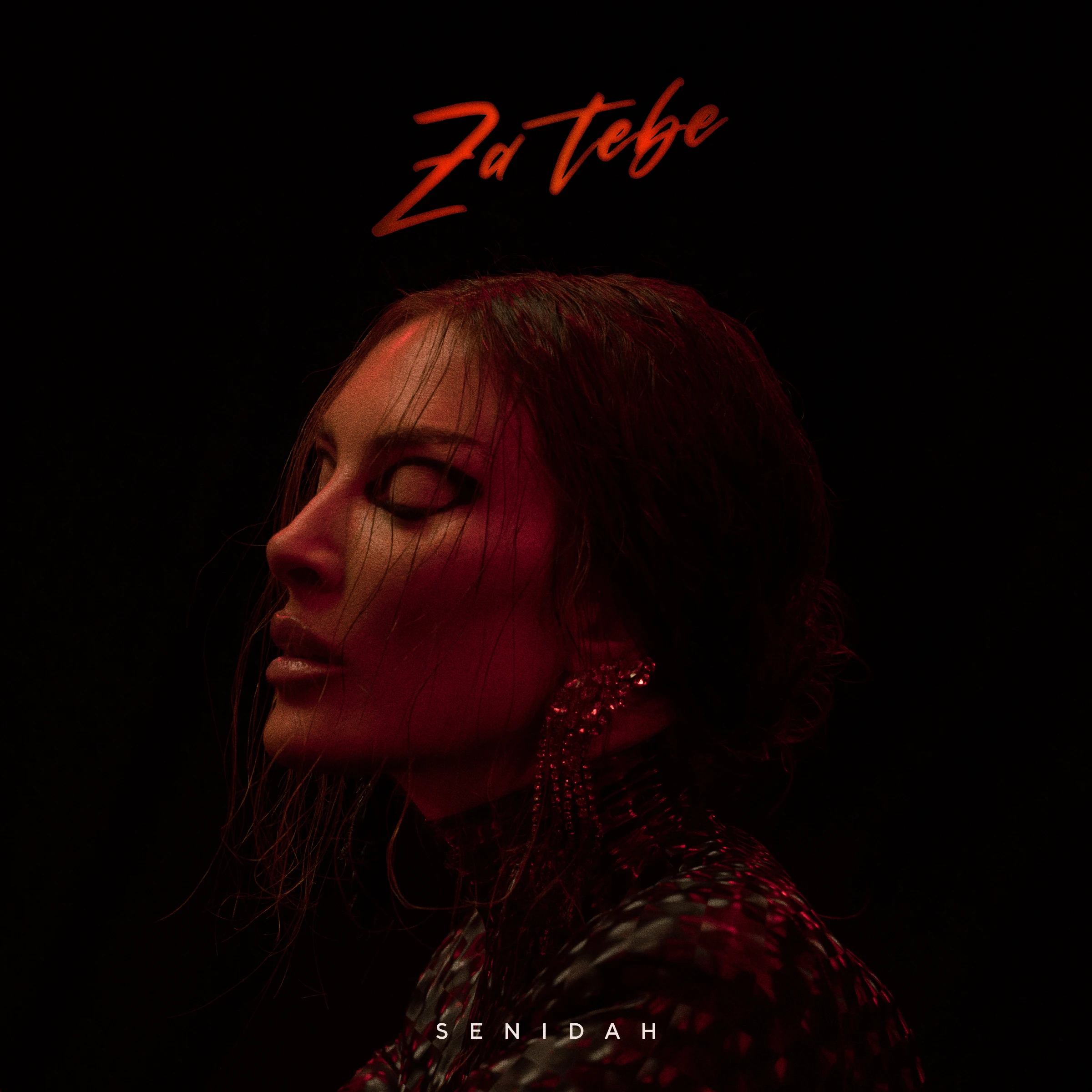 Za Tebe cover art